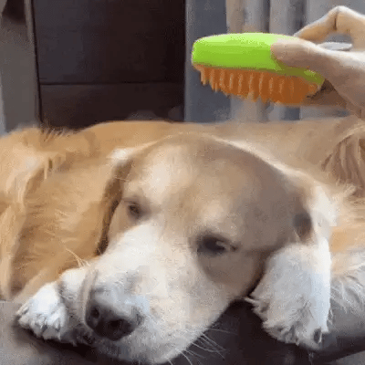 Despídete del pelo de tu casa con el Cepillo Vaporizador!